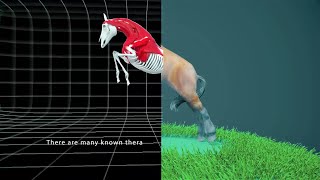 horses while doing sports is tremendous medical animation #horse #therapies