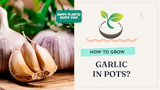 🍀🌸🌿 How to Grow Garlic in Pots: Ultimate Guide to Homegrown Garlic