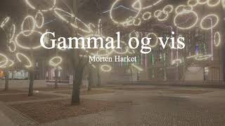 Morten Harket-Gammal og vis (lyrics)