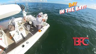 Fishing Inside Tampa Bay!