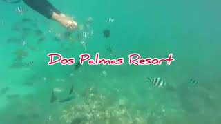 Dos Palmas Resort Palawan Day Tour