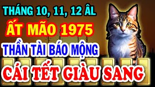 Ông địa cảnh báo tuổi ất mão 1975 ĐẾN THỜI, tiền về ầm ầm, giàu sang nhất họ 3 tháng cuối năm