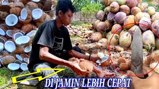 METODE BELAH KELAPA YANG SERING DI GUNAKAN OLEH PETANI KOPRA || CEPAT DAN PRAKTIS‼️