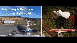 RC plane crash and funny comments caught on camera