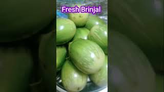 Fresh Brinjal/ Fresh Baingan/ Baigana #shorts #viral #reels #trending