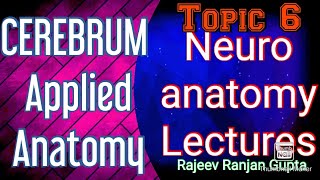 #6 CEREBRUM , NEUROANATOMY , ANATOMY_LECTURES , NEUROANATOMY LECTURES