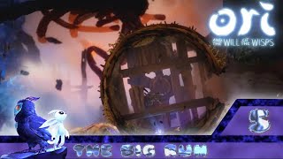 Ori and the Will of the Wisps - Part 5 - The Big Run