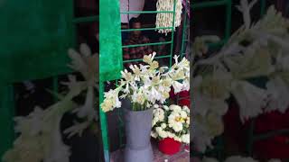 Fresh Flower Shop in Dhaka | Beautiful Flower🌹💐 #short #bangladesh #florist