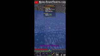 Minecraft Stream @ FlowerRealms.minehut.gg