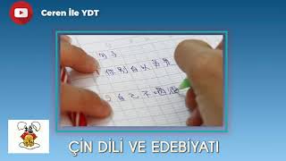 #YKSTERCİH Çin Dili ve Edebiyatı Okumak!! İŞSİZ KALMAK İMKANSIZ! #YDT2021