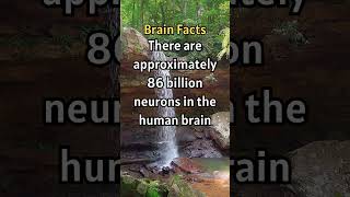 Billion of Neurons in Your Brain vs. Stars in the Galaxy! #shorts  #facts #science  #curiousfacts