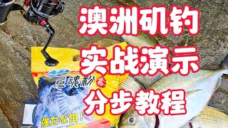 澳洲矶钓 实战 分步骤教程 #澳洲 #澳洲生活 #fishing