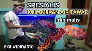 KOLAM IKAN MINIMALIS