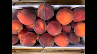 It's Peach Season! 3 Easy Ways to Preserve Peaches #shorts