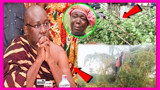 SAD - TREE K!LLS TWO WOMEN DURING RAINFALL AND KWAHUHENE COMES OUT WITH CLARIFICATION ON DESTOOLMENT