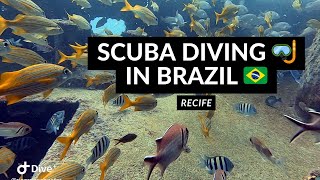 SCUBA DIVING 🤿 IN BRAZIL 🇧🇷 | A “fish soup” shipwreck in Recife  ⚓️🐠🦈