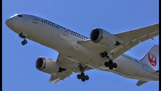 Plane Spotting at Seattle Tacoma Airport - Fast Arrivals with the Occasional 787, 747, & 767 (4K)