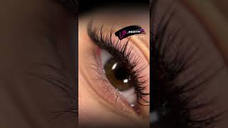 Trend 2024 "MASCARA"2D #germany #leipzig #lash #lashes #wimpernverlängerung #wimpern #mascara