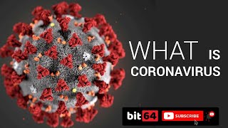 what is corona virus. What is covid19. (primary treatment) #coronavirus