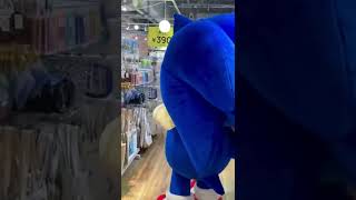 Sonic went to the store