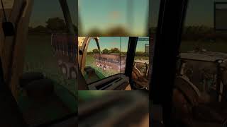 Getting Sorghum For Winter Feed Part 7 #giantssoftware #simfarming #farmingsimulator22 #autodriveguy