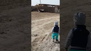 Кой көруге бара жатыр. #viral #shortsvideo #share #sorts #viralvideo #baby #cutevideo #video #cute