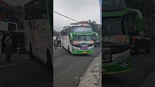 Bus Pariwisata Mutiara "SAKURA" dari Banten trip Darajat Pass Garut,, Membasuri tipis tipis 🥳🔥