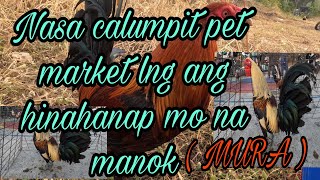 Nasa calumpit pet market lng ang hinahanap mo na manok (mura)