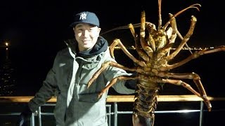 Gail Force SportFishing - March 2nd 2014 Lobster Hooping