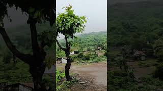 Nashik forest in harihar Fort trekking 🏞️🧑‍🦯🧗#sort #travel #trekking #mountains #harihar #trending