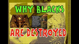 WHY BLACKS ARE DESTROYED - TRUTH AND FICTION