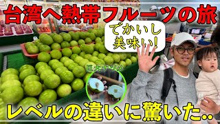 【台湾旅行】フルーツ探しの旅！本場の熱帯果樹は衝撃的な美味しさだった！！！