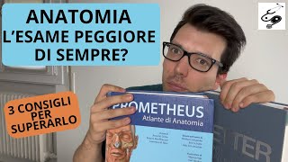 PREPARARE ANATOMIA - L'INCUBO DI OGNI MED STUDENT, 3 CONSIGLI ESSENZIALI || med pages