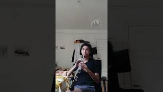 Carmen Fantasy study on oboe (0,5 speed)