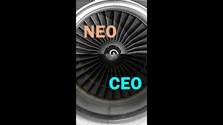 Engine Comparison: NEO & CEO!