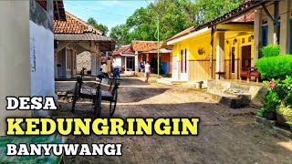 Desa Kedungringin | Banyuwangi