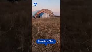 Tourist tries to ride an ostrich and chaos ensues