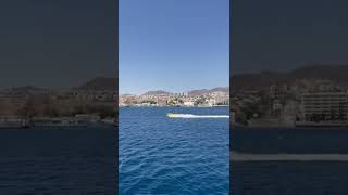 EILAT ISRAEL RED SEA #shorts