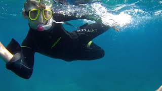 Snorkelling in Fuertaventura