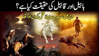 Habeel aur Qabeel ka qissa | Story of Cain and Abel | Habil and qabil story || Ali Production