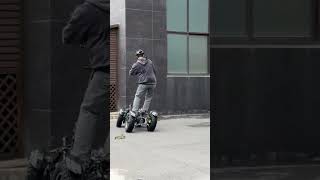 4 wheel e-scooter