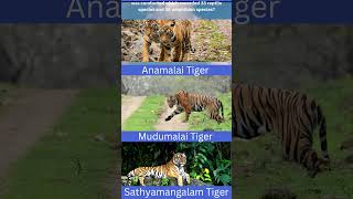 TIGER#MUDUMALAI#QUIZ QUESTIONS