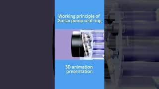 Unlock the Secrets of Guisai Pump Seal Rings! 🔧💡