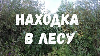 НАХОДКА В ЛЕСУ/Странная избушка...