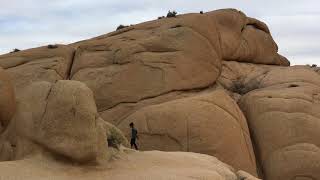 Jumbo Rock - Joshua Tree National Park