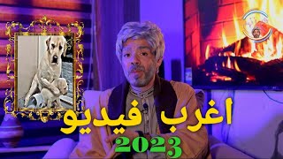 اغرب فيديو لرد فعل الكلبة مع ابنها ضد صاحبها