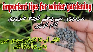 Plant Care in Winter|sardiyon me podon ki hifazat kese karen|Winter Care Tips