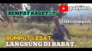 SEMPAT KAGET...!! RUMPUT LEBAT LANGSUNG DI BABAT.@pakjibro9322