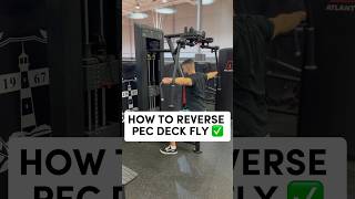 How to PROPERLY Reverse Pec Deck Fly (TRY THIS) #shorts