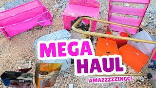 MEGA HAUL: BAGS, GRABS & SURPRISES! #dumpsterdiving